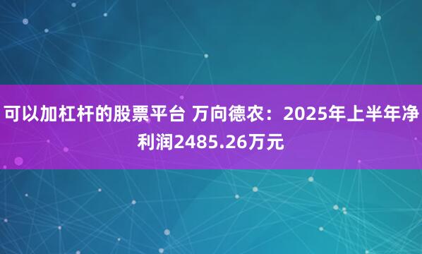 可以加杠杆的股票平台 万向德农：2025年上半年净利润2485.26万元