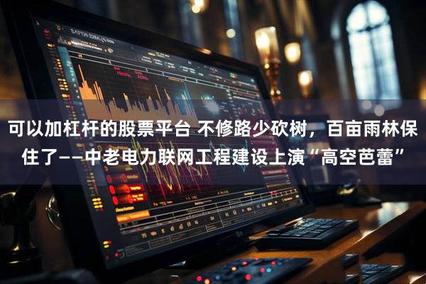 可以加杠杆的股票平台 不修路少砍树，百亩雨林保住了——中老电力联网工程建设上演“高空芭蕾”