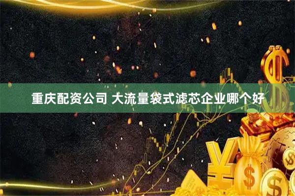 重庆配资公司 大流量袋式滤芯企业哪个好