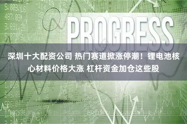 深圳十大配资公司 热门赛道掀涨停潮！锂电池核心材料价格大涨 杠杆资金加仓这些股